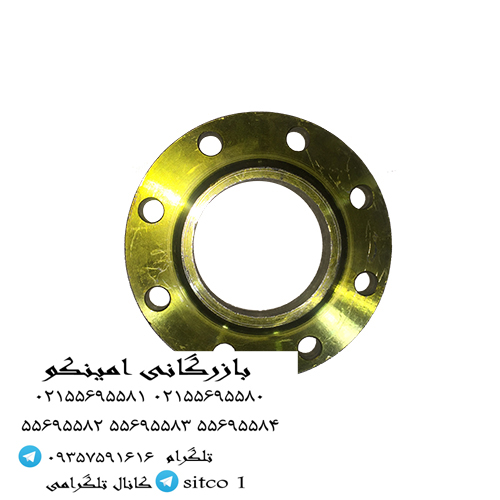 خرید فلنچ جوشی