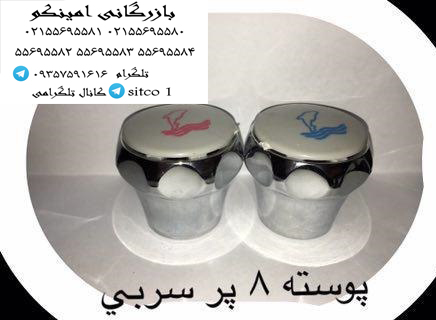 خرید پوسته 8 پر سربی