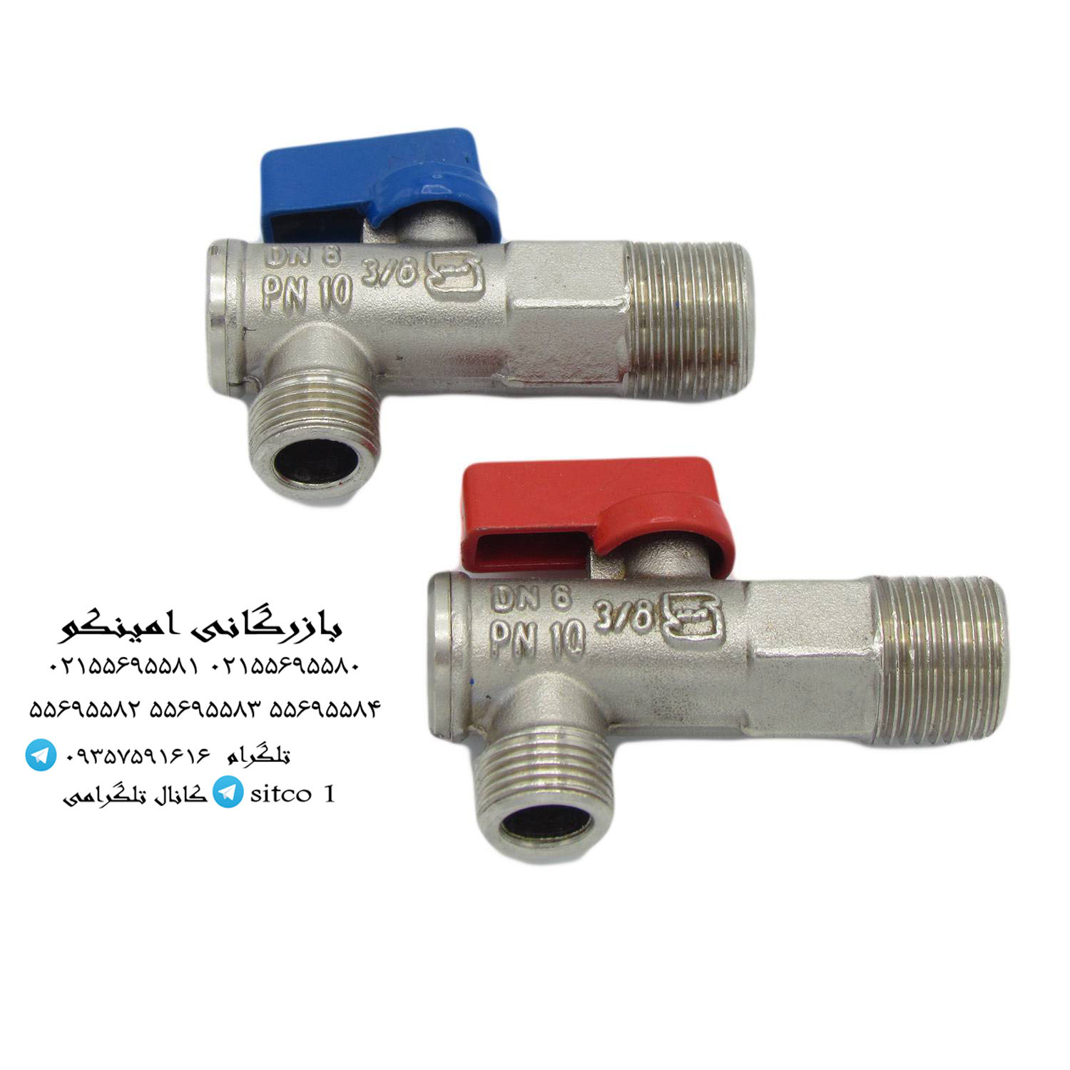 خرید شیر پیسوار فردوس