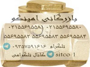 شیر خودکار دریچه ای 1/2