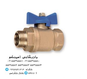 خرید شیر کلکتوری اذر